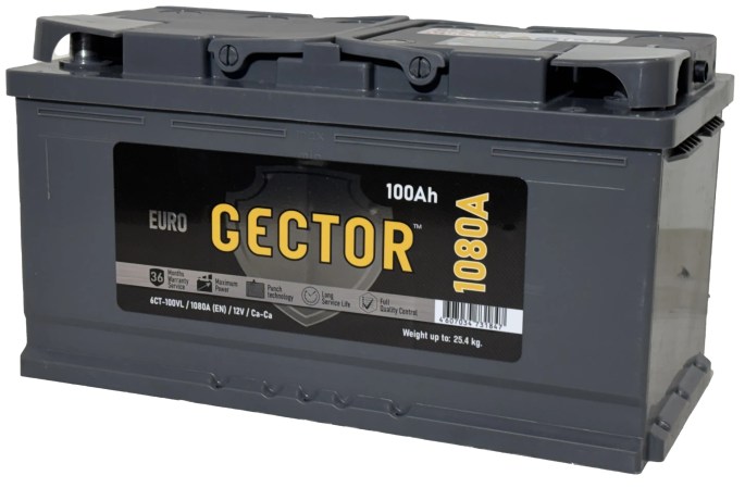 GECTOR 100 2